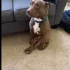 Jed - @jed.kirk27 - TikTok