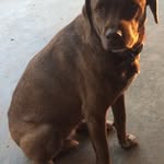 Jed Leonard - @jed4433 - Instagram