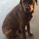 @jed_leonard - Instagram