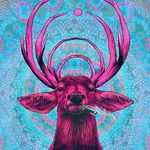 Jed Morgan - @jed_morgan_ - Instagram