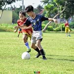 Apis Gaming - @_jedring22 - Instagram
