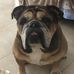 Jed Schneider - Facebook