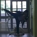Eyüp Hiob Köksal - @jedenstern - Instagram