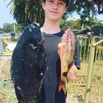 Jedd Sternbeck - @jedd.sternbeck - Instagram