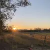 jed stone - @jed.stone75 - TikTok