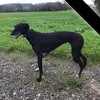 Jed Stone - @jed.stone5 - TikTok