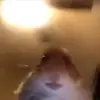 Victor Jedrzejewski - @victorjed83 - TikTok