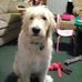 Riley Jedediah - Facebook