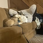 Jedidiah Hunter - @jedidiah_hunter19 - Instagram