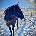 Jedidiah Mitchell - Facebook