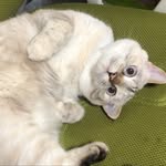 지양이 - @jee_yang_2 - Instagram