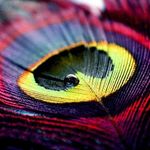 Patel Jeegar - @jeegarpatel5060 - Instagram