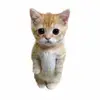 jen_chung - @jen_chung - TikTok