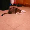 jeff.abbott44 - @jeff.abbott44 - TikTok