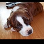 Jeff Addison - @jeffaddison43 - Instagram