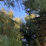 Jeff Adolph - @jeff.adolph - Instagram