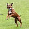 Jeff Akers - @jeff.akers2 - TikTok