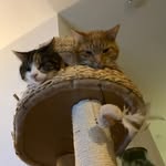 Jeff - @jeff.albinus - Instagram