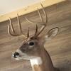 Jeffery Albritton - @jeffery.albritton4 - TikTok