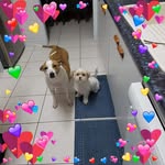 Jeff Wendy Aldridge - @jeff.aldridge.587 - Instagram