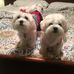 Jeff Allred - Facebook