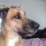 Jeff Andrus - @andrusjeff - Instagram