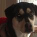 Jeff Apgar - Facebook