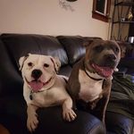 Jeff Apgar - @japgar - Instagram