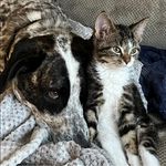 Jeff Applegate - @j.applegate.1 - Instagram