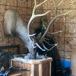 Jeff Archambault - @archiey2k - Instagram