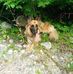 Jeff Arneson - Facebook