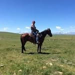Jeff Harwood - @harwood_jeff - Instagram