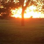 Jeff Ashmore - @ashmorejeff - Instagram