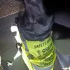 jeffatherton447 - @jeffatherton447 - TikTok