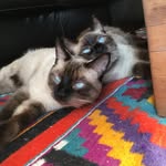 Atlas & Jeff - @atlas.jeff - Instagram