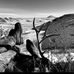 Jeff Baldauf - Facebook