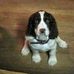 Jeffrey R. Ballantyne - Facebook
