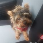 My name is jeff - @my_bame_as_jeff - Instagram