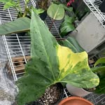 Jeff Barfield - @jeff.barfield - Instagram