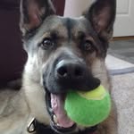 Jeff Barham - @jeffbarhamvv - Instagram