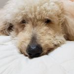 Jeff Barham - @barham_jeff - Instagram