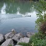 Jeff Barlow - @jeffbarlow3 - Instagram
