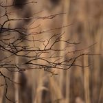 Jeff Basham - @jeffbasham61 - Instagram