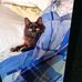 Jeff Bastien - Facebook