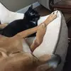 Jeff Bastien - @jeff.bastien0 - TikTok