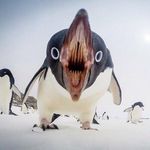 Jeff Bates - @alientat2 - Instagram