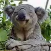 Jeff Batten - @jeff.batten - TikTok