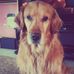 Jeff Baughman - Facebook