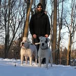 jeff baumann - @baumanns.american.bulldogs - Instagram