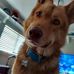 Jeff Bayer - Facebook